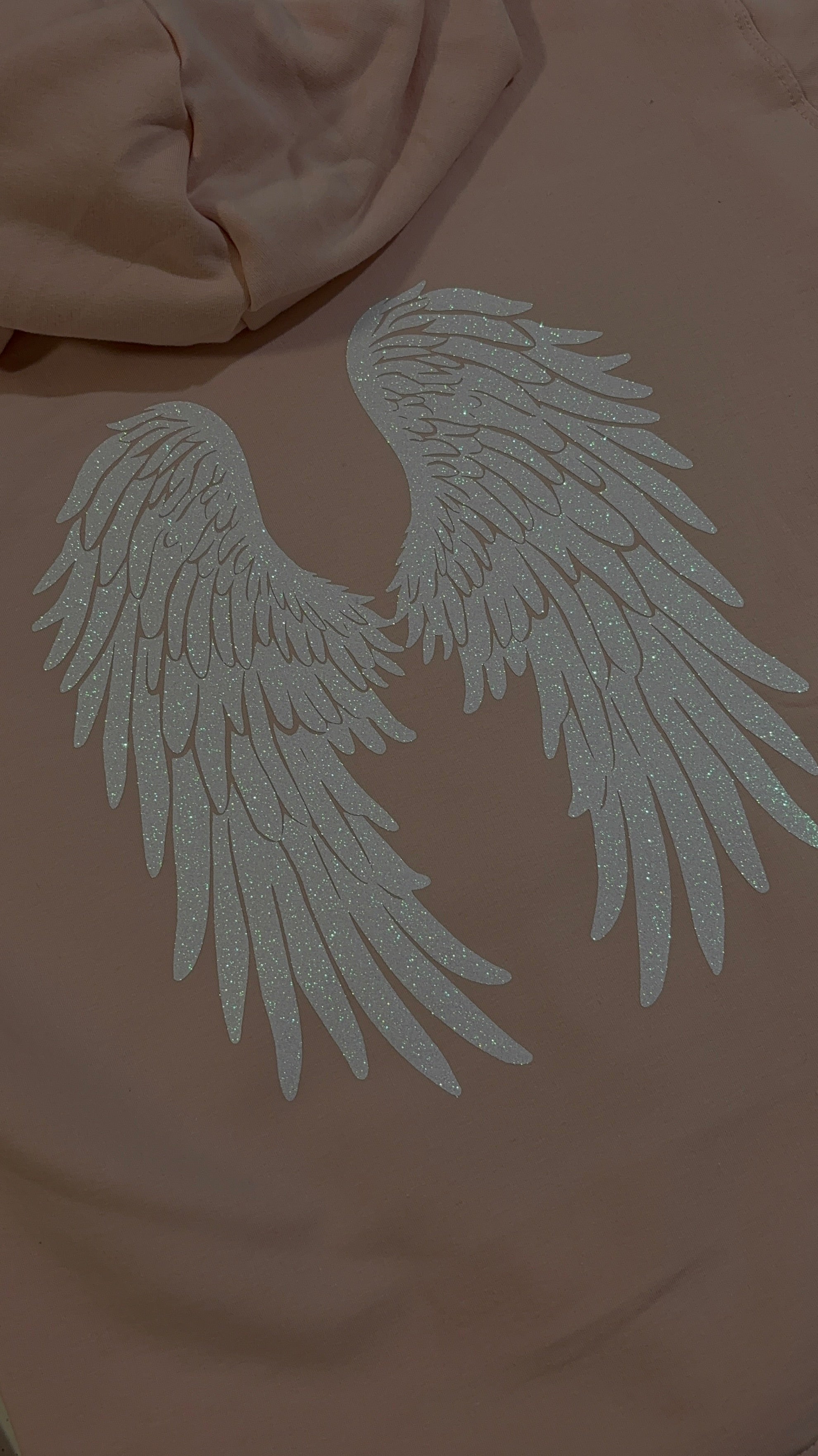 Stellar Wings Hoodie